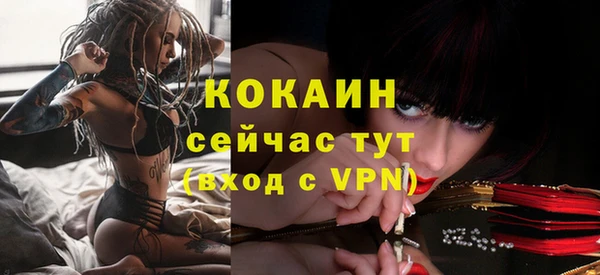индика Алексин