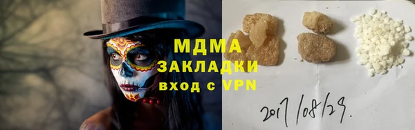 индика Алексин