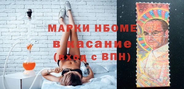 индика Алексин