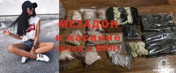 индика Алексин